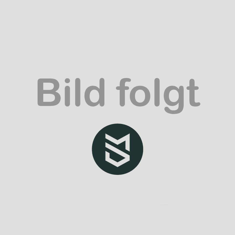 Bild von Stehende Plattensäge